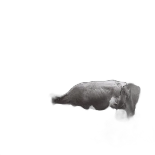 animal, creature, hair, robot transparent PNG cut-out