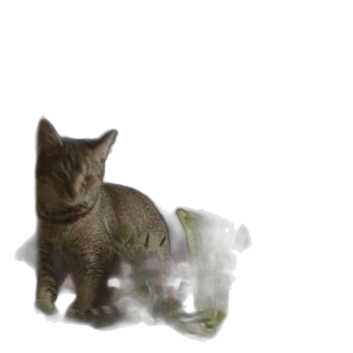 creature, animal, bottle, dragon transparent PNG cut-out