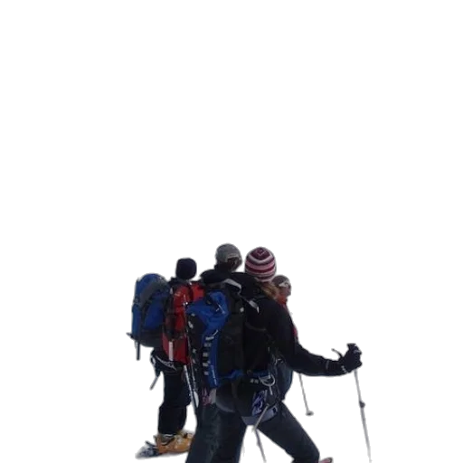 staff, snow, fog, group transparent PNG cut-out