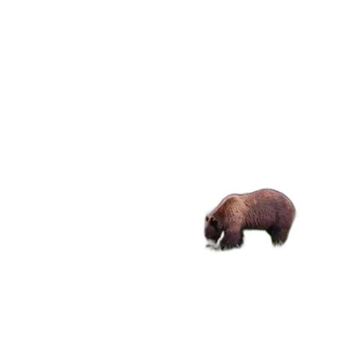 animal, creature, staff, furniture transparent PNG cut-out