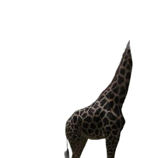 animal, creature, staff, umbrella transparent PNG cut-out