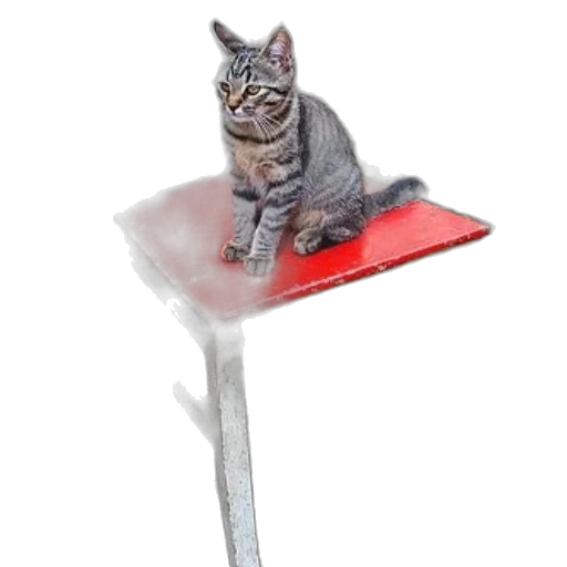 staff, umbrella, furniture, animal transparent PNG cut-out