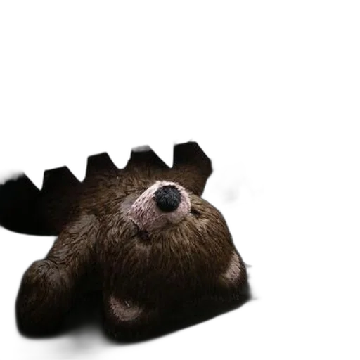 creature, animal, hat, hair transparent PNG cut-out