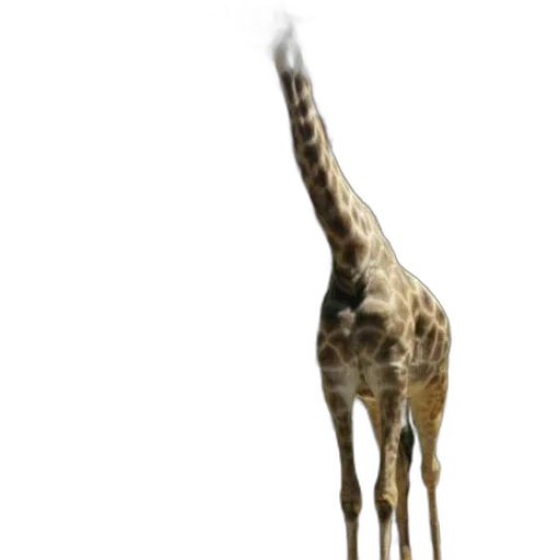 animal, creature, staff, weapon transparent PNG cut-out