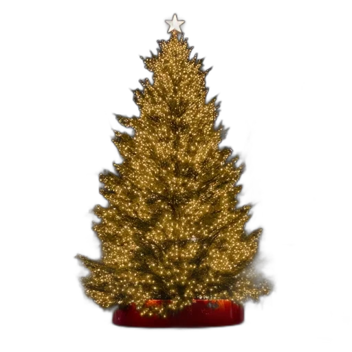 crown, tree, jewelry, hat transparent PNG cut-out