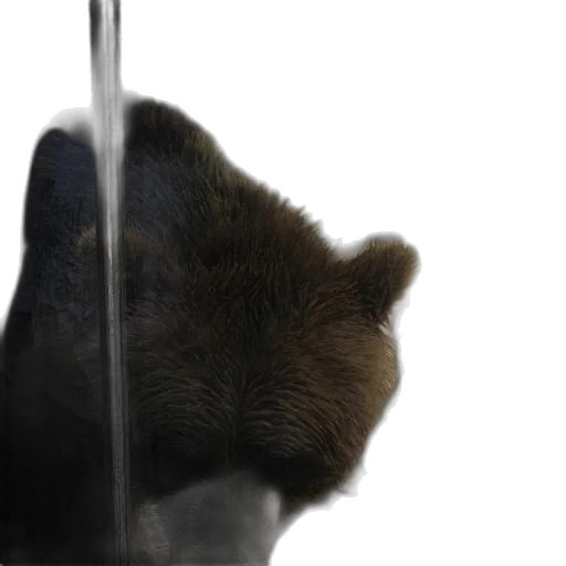animal, staff, sword, hat transparent PNG cut-out