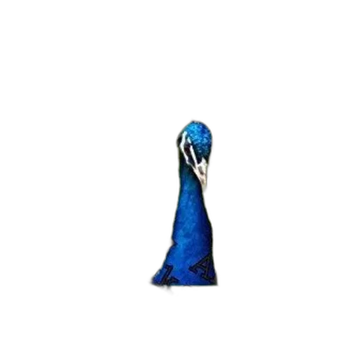 dress, umbrella, staff, bottle transparent PNG cut-out