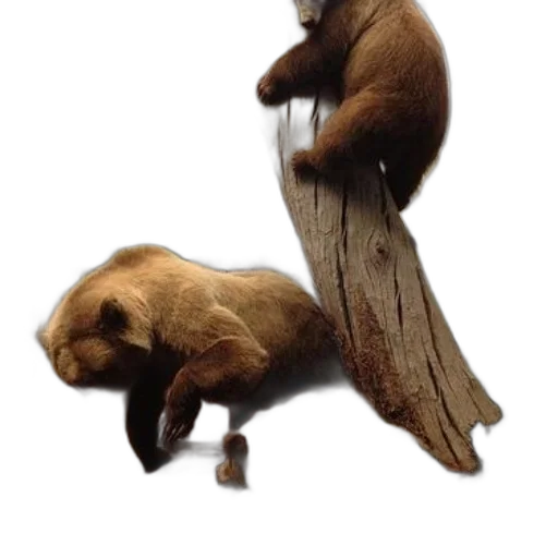 animal, creature, staff, concept art transparent PNG cut-out