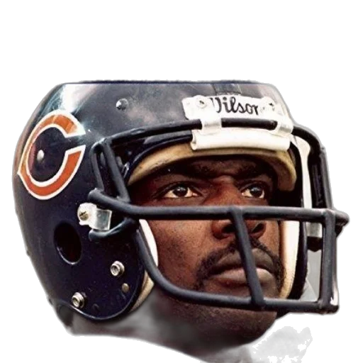 chicago, tribune, book, bears transparent PNG cut-out