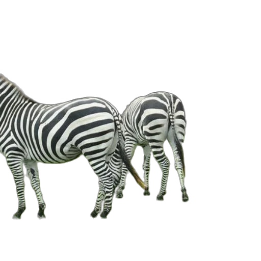 animal, jewelry, furniture, 3d render transparent PNG cut-out