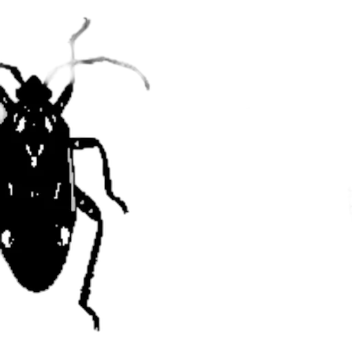 animal, creature, robot, dragon transparent PNG cut-out