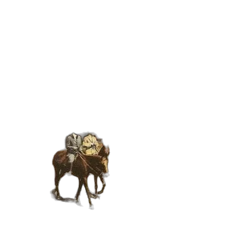 animal, creature, jewelry, furniture transparent PNG cut-out