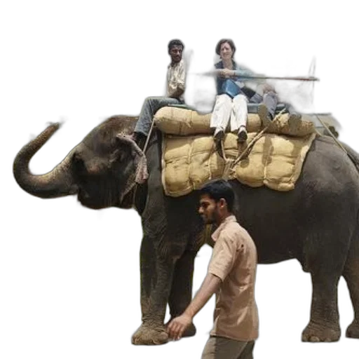 animal, staff, concept art, forest transparent PNG cut-out