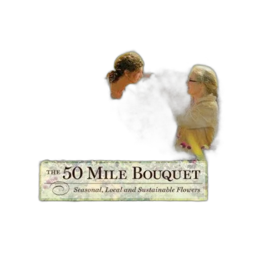 fog, mile, bouquet, seasonal transparent PNG cut-out