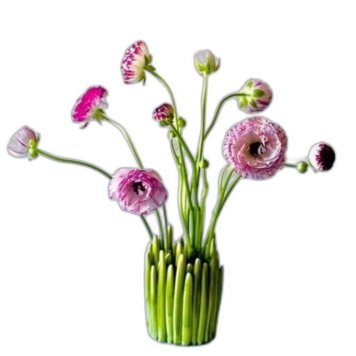flower, crown, staff, jewelry transparent PNG cut-out
