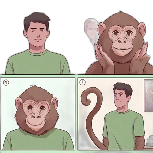 animal, mask, creature, hair transparent PNG cut-out