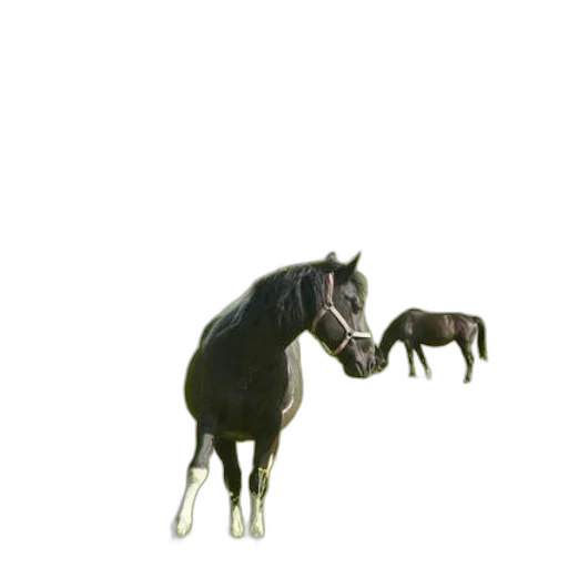 animal, jewelry, staff, creature transparent PNG cut-out