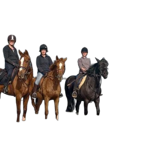 concept art, 3d render, photorealistic, pixel art transparent PNG cut-out