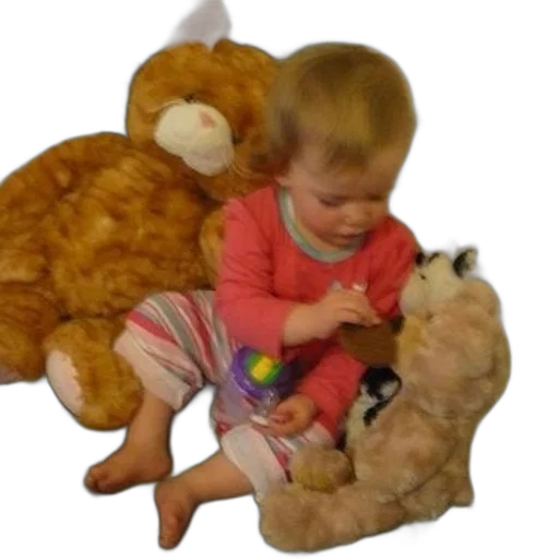 forest, child, sits, couch transparent PNG cut-out