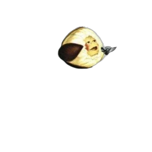 staff, face, mask, hat transparent PNG cut-out