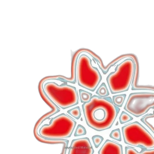 umbrella, flower, jewelry, crown transparent PNG cut-out