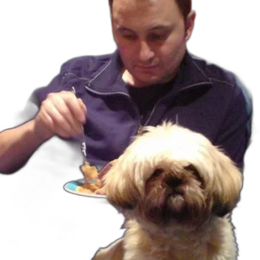 staff, animal, food, creature transparent PNG cut-out