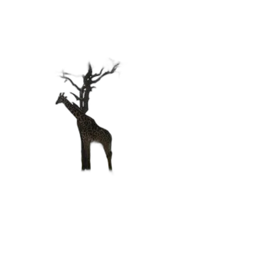 animal, creature, tree, crown transparent PNG cut-out