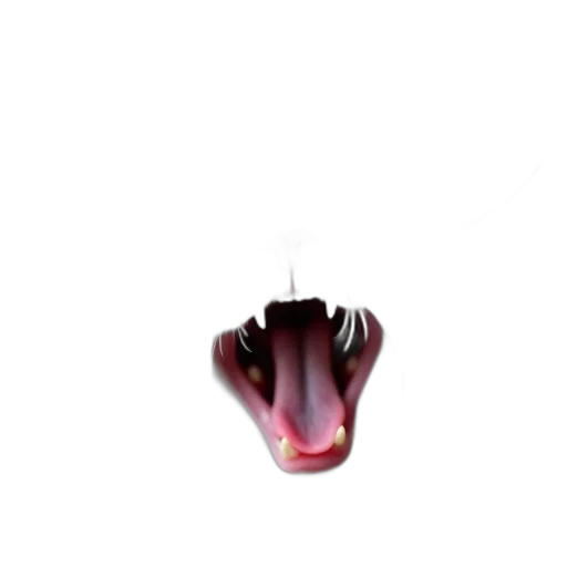 mask, creature, animal, shoes transparent PNG cut-out