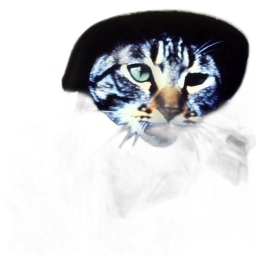 animal, hat, mask, creature transparent PNG cut-out