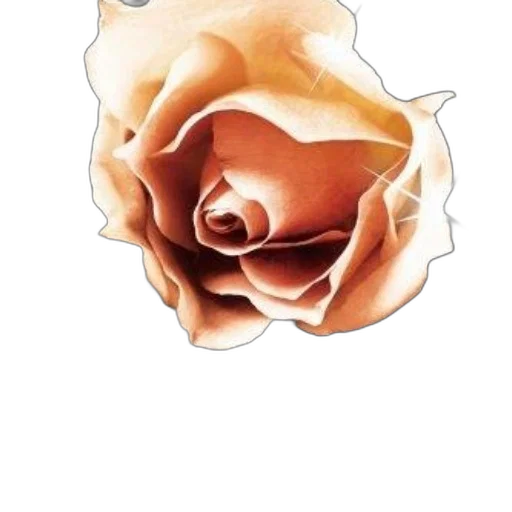 flower, face, crown, mask transparent PNG cut-out