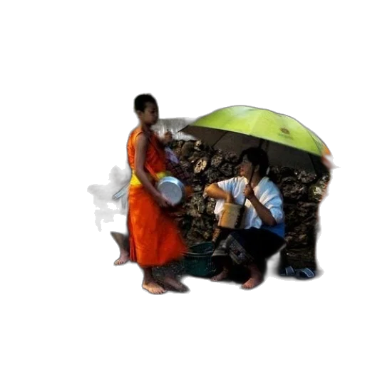 umbrella, food, concept art, 3d render transparent PNG cut-out
