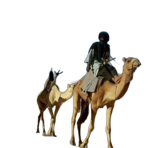 animal, staff, weapon, concept art transparent PNG cut-out