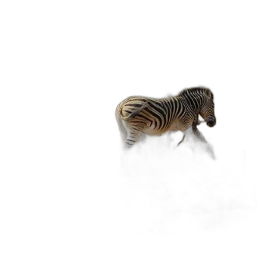 animal, creature, hair, staff transparent PNG cut-out