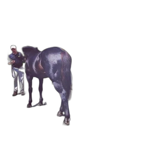 animal, creature, staff, weapon transparent PNG cut-out
