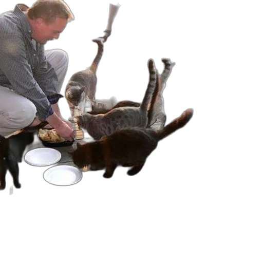 animal, staff, creature, weapon transparent PNG cut-out
