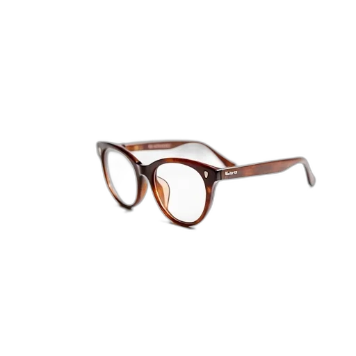 earth tones, pair, brown, eyeglasses transparent PNG cut-out