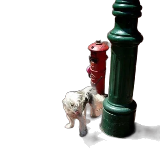 bottle, animal, staff, weapon transparent PNG cut-out