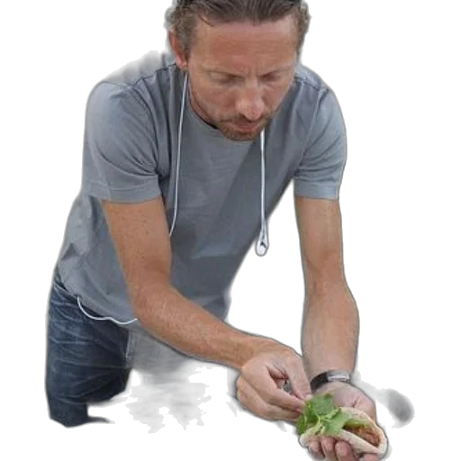 food, creature, animal, hair transparent PNG cut-out