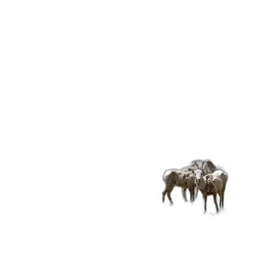 animal, creature, furniture, crown transparent PNG cut-out