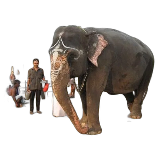 animal, staff, 3d render, concept art transparent PNG cut-out