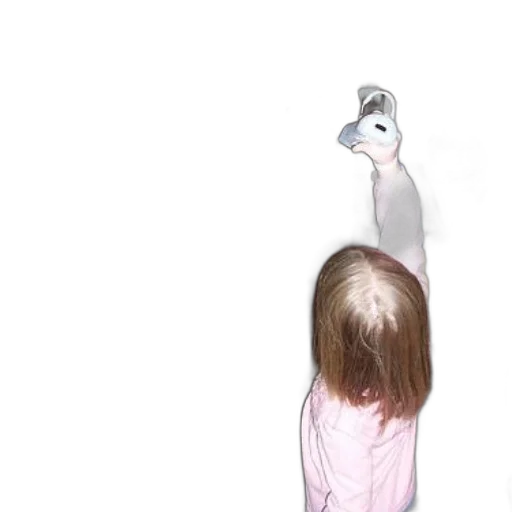 hair, mask, animal, creature transparent PNG cut-out