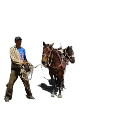 staff, animal, weapon, hat transparent PNG cut-out