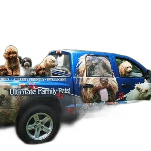 car, animal, blue, truck transparent PNG cut-out