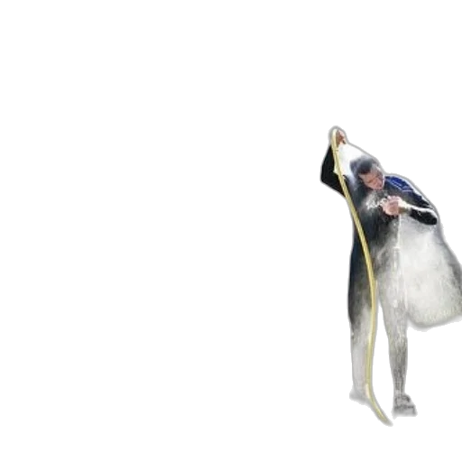animal, creature, staff, weapon transparent PNG cut-out