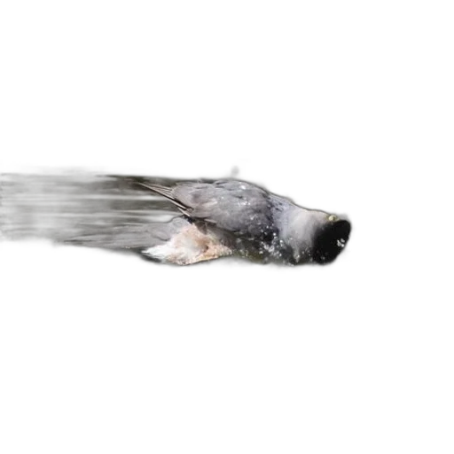 animal, weapon, creature, staff transparent PNG cut-out
