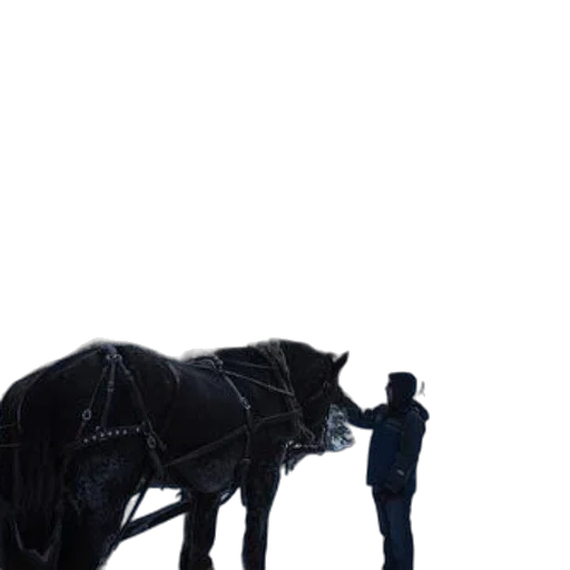 animal, staff, robot, creature transparent PNG cut-out
