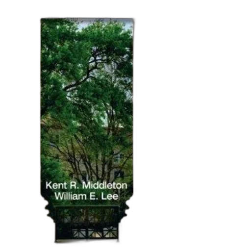 tree, forest, earth tones, cover transparent PNG cut-out