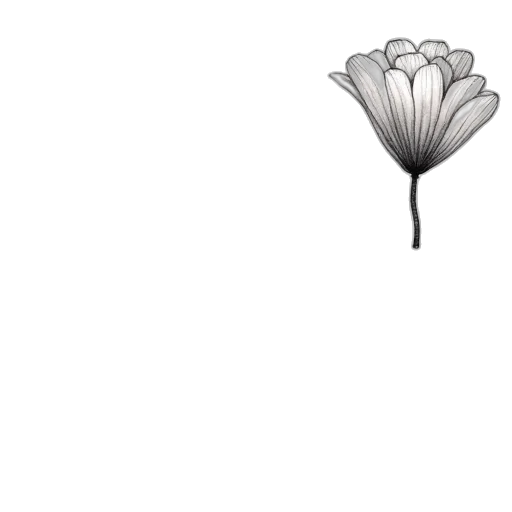 flower, umbrella, crown, jewelry transparent PNG cut-out