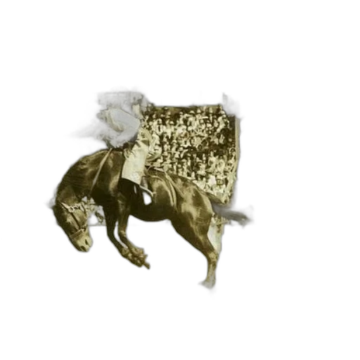 animal, crown, jewelry, hat transparent PNG cut-out