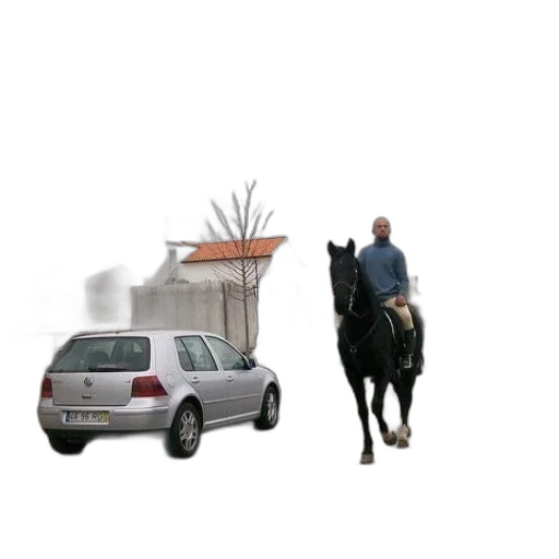 car, animal, furniture, photorealistic transparent PNG cut-out